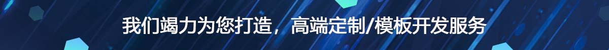 高端定制模板開發(fā).jpg